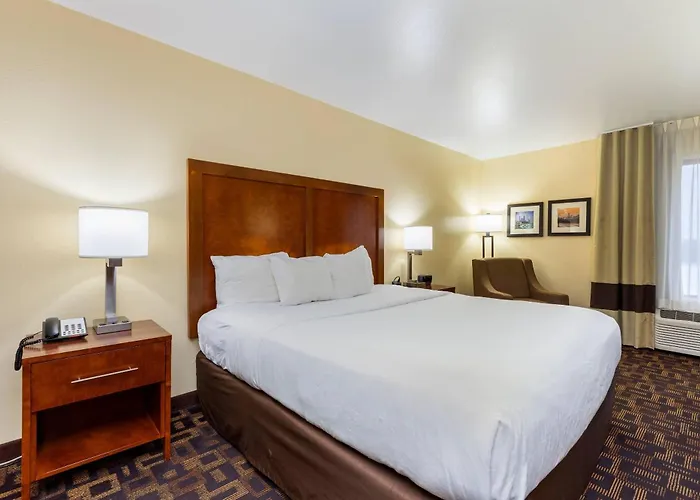 Comfort Inn & Suites North Aurora - Naperville